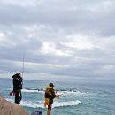 (주)디비메탈 동해공장 | 🎣 “이 맛에 겨울 워킹 낚시 간다!” 부산 기장 &amp; 울진 방어 타작 후기 (손맛 미쳤다)