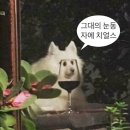 뽀송