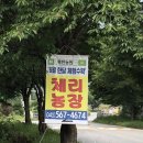 덕전농장 네이버블로그