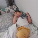 코알라소아청소년과의원 이미지