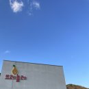 뜨레놀레 키즈풀빌라 | 여수 키즈 펜션 독채 풀빌라 뜨레놀레 20명 단체여행 성공