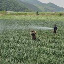 장수군농업기술센타 이미지