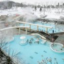 용인나무이야기 이미지