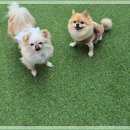 아이조아 요양보호소 서울점 이미지