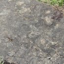 문호장 발자국 이미지