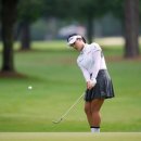 다우피드 이미지