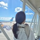 스테이카멜7 | 6개월 아기와 제주여행(제주항공, 짱죽이유식, 카시트대여, 유모차대여)