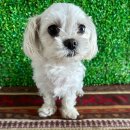 울진중앙로69-5 이미지