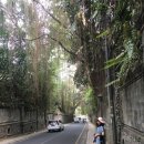 코끼리 카서비스 이미지