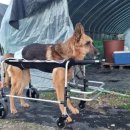 김판정농장 이미지