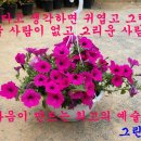 첩을 넷 거느린 남자 이미지