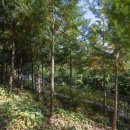 봉산휴게쉼터 이미지