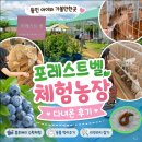 지산농장 | 용인 아이와 가볼만한곳 추천｜포레스트벨 체험농장 블루베리·동물 먹이주기 후기