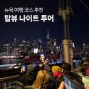 지사랑 작은도서관 | 뉴욕 여행 코스 추천 탑뷰 나이트 투어 2층 버스 후기