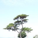 1765 | 전라남도 역사여행 답사; 사학과 -첫째날- #녹진전망대 #남도석성 #운림산방 #용장산성
