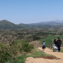 티렌트카 이미지