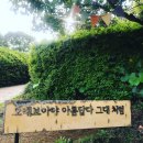 안덕소방서(안덕119센터) 2 | 제주도 수국 명소 그리고 시기 - 제주의 여름을 여는 수국