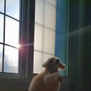 경포딩가펜션 이미지