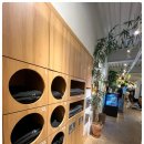 트윙클짐 | 진접 헬스장 트윙클짐, 운동이 힐링처럼 느껴진다는 말이 딱이었어요