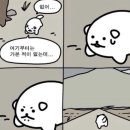 청명투 | 엔클렉스 85문제 신주쿠 합격후기..🥳