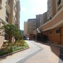 하우스 말로 이미지