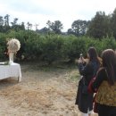 항몽유적지 이미지