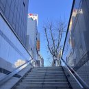 부산역 지하도상가 | 겨울철 먹거리 부산역 근처 아침에 문여는 붕어빵집 위치 황금잉어빵 가격은?