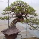 인차1리 이미지