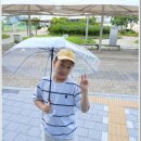 승우 태양광 네이버블로그