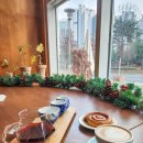 스텔라온 | 세종 카페 추천☕️ 핸드드립 전문 커피가 맛있는 스텔라온 커피 내돈내산