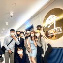소나무헤어아트 이미지
