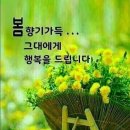 100세의료기 이미지