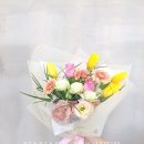 사파동126 이미지