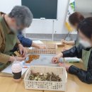 꽃차소믈리에자격증 이미지