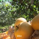 구례농협 APC 이미지