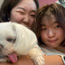 스테이모슬 이미지