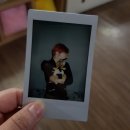 러블리독 애견카페 이미지