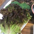 명품오리불고기 이미지