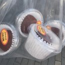 수현유치원 | 백수 라이프