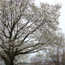 금련산청소년수련원 이미지