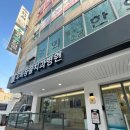 NS대흥동물병원 | 1.8kg 초소형견 강아지 발치 후기, 마포오복동물치과