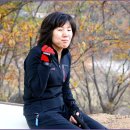 소나무쉼터 민박 이미지