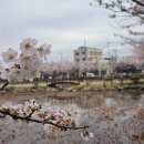 국원고등학교 이미지