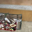 양평 아그니초시매 한옥스테이 촌캉스 후기