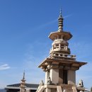 감나무골농장 이미지