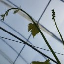 화수농장 이미지