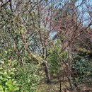 강서구청역 이미지