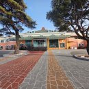 올데이 청주떼제베CC(대중형 골프장-36홀) | 충청도 청주 올데이 떼제베 CC 5인 플레이 가능 따뜻한 봄 남코스 라운드 후기