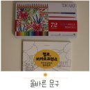 색연필문구 | 가성비 수채색연필 디아트 72색 &amp; 컬러링북 &#39; 올바른 문구 &#39;