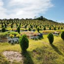 강원장의사 이미지